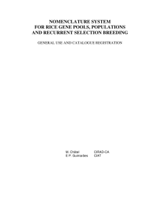 nomenclature system for rice gene pools, populations and recurrent