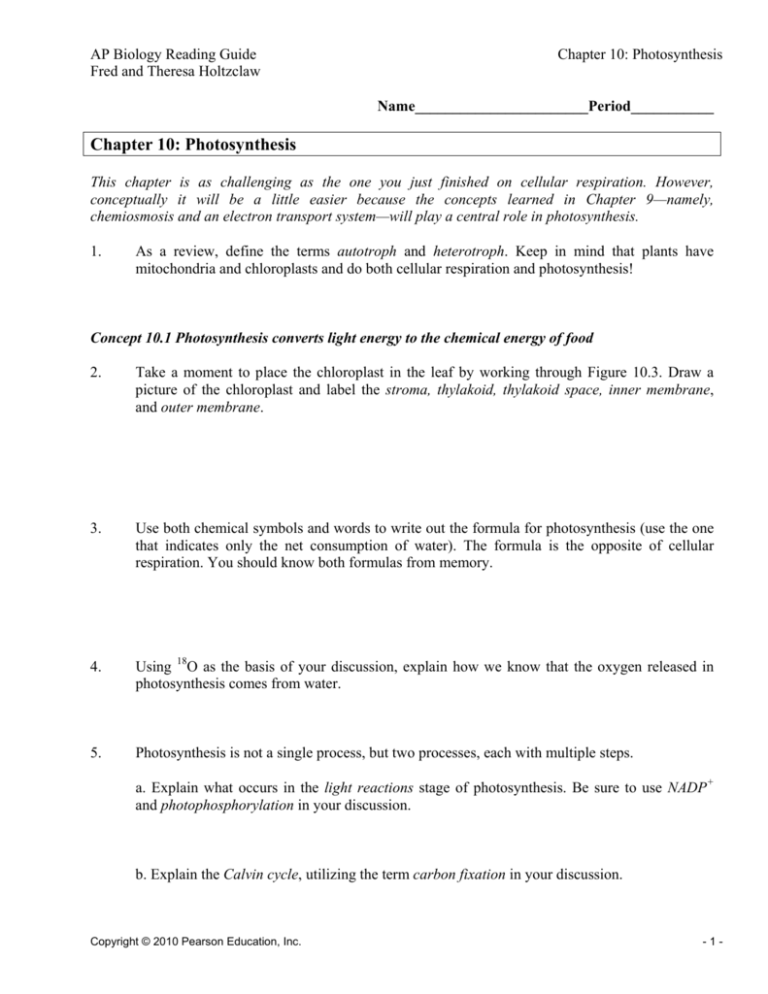 Chapter 10 Photosynthesis