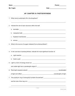 Photosynthesis Questions and Answers