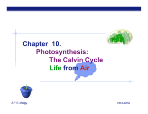 Chapter 10. Photosynthesis: The Calvin Cycle Life from Air