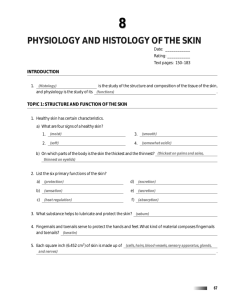 physiology and histology of the skin