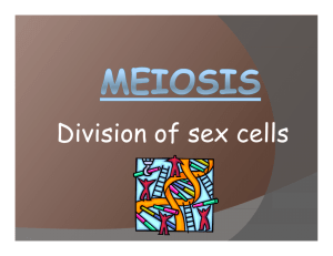 Division of sex cells