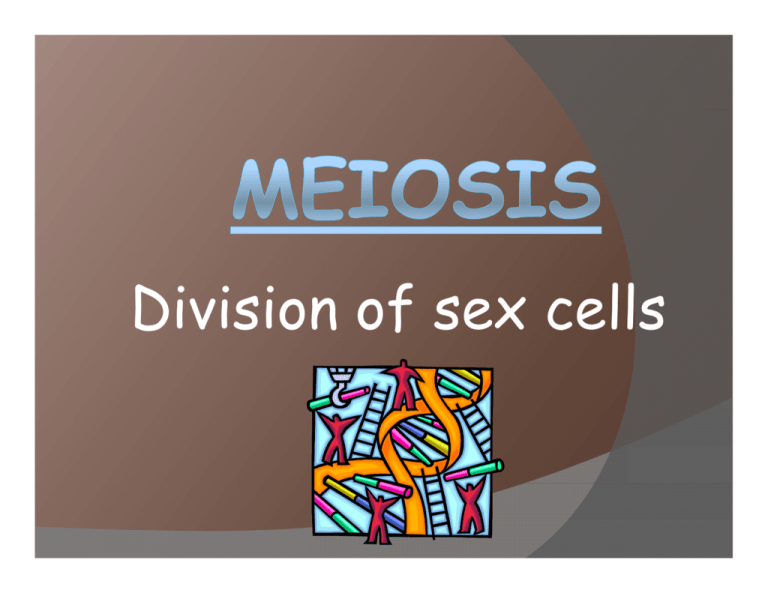 Division Of Sex Cells 1756