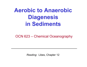 Aerobic to Anaerobic Diagenesis in Sediments