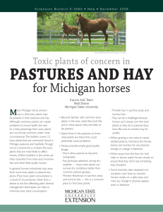 PASTURES AND HAY - Department of Animal Science