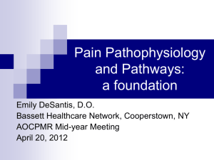 Pain Pathways and Patterning