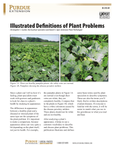 Illustrated Definitions of Plant Problems