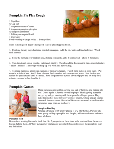 Pumpkin Patch Activity