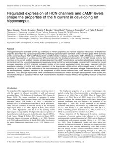 Regulated expression of HCN channels and cAMP levels shape the