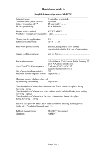 Hyacinthus orientalis L. Simplified standard protocol: NL/HCN/1