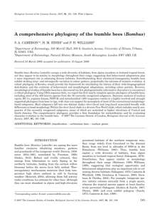 A Comprehensive Phylogeny of the Bumble Bees (Bombus)
