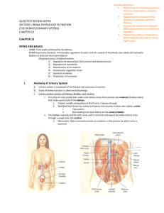 QUIZ/TEST REVIEW NOTES SECTION 1 RENAL PHYSIOLOGY