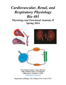 Cardiovascular, Renal, and Respiratory Physiology Bio 401
