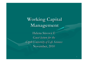 Working capital - lecture 22112010