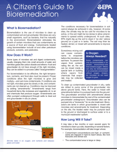 A Citizen's Guide to Bioremediation - CLU-IN