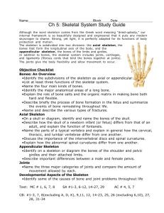 Ch 5: Skeletal System Study Guide