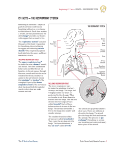 cf facts — the respiratory system