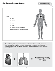 Cardiorespiratory System