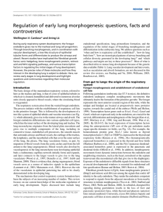 Regulation of early lung morphogenesis: questions, facts and