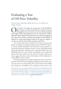 Evaluating a Year of Oil Price Volatility