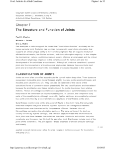 Chapter 7 The Structure and Function of Joints