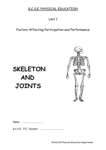 Skeleton and Joints