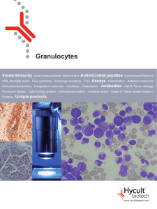Granulocytes - Hycult Biotech