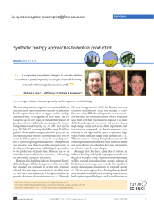 Synthetic biology approaches to biofuel production