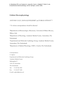 Cellular Electrophysiology