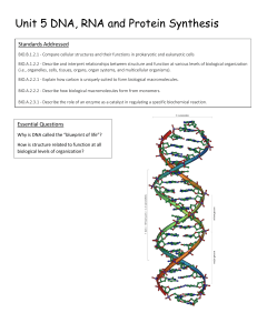 Unit 5 DNA, RNA and Protein Synthesis