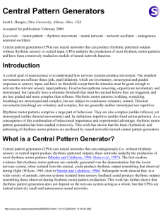 Central Pattern Generators