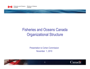 DFO Organizational Structure Presentation