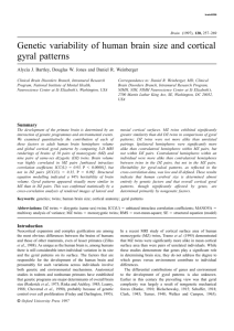 Genetic variability of human brain size and cortical gyral patterns