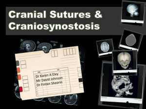 Cranial Sutures & Funny shaped heads: Radiological Diagnosis