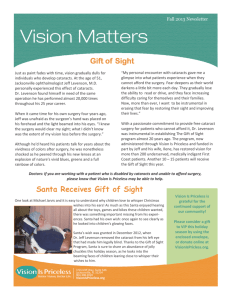 Fall 2013 Newsletter - Vision Is Priceless