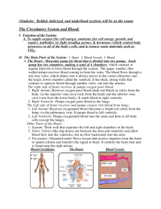 The Circulatory System and Blood