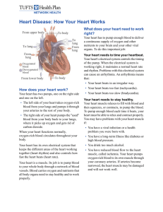 Heart Disease: How Your Heart Works