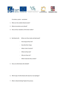 Circulatory system - worksheet 1. What are the smallest blood