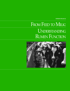 from feed to milk: understanding rumen function