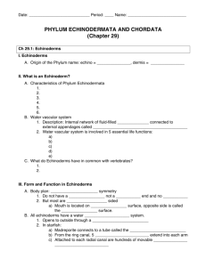 Echinoderms and Chordates