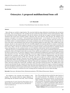 Osteocytes: A proposed multifunctional bone cell