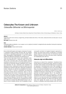 Osteocytes-The Known and Unknown