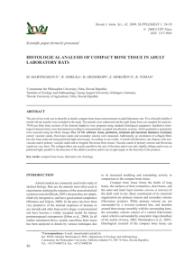 histological analysis of compact bone tissue in adult