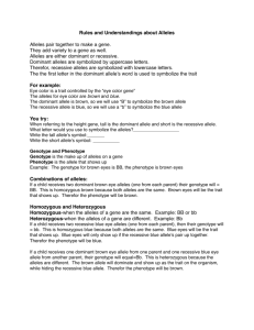 alleles and punnett square notesBLANK