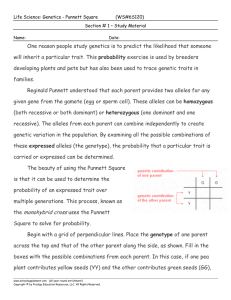 the monohybrid cross uses the Punnett