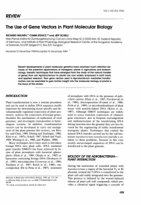 The Use of Gene Vectors in Plant Molecular Biology - Max