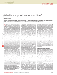 What is a support vector machine?