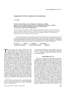 Ligaments of the craniocervical junction