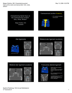 Characterizing Spinal Injury at the Cranio