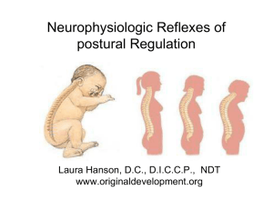 Neurophysiologic Reflexes of postural Regulation